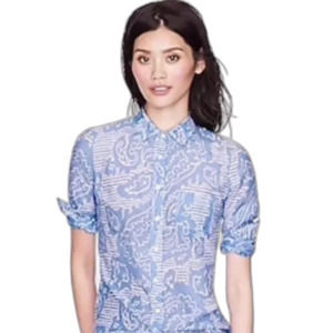 J. Crew Cotton Silk Striped Paisley Blue Buttondown Shirt Size 8